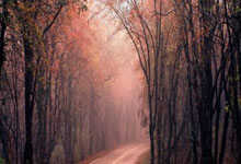 乐博体育：官方：美國商人將收購西布朗87.8%股份，交易將於下周完成.