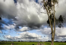 乐博体育：孫悅：上次在國家體育館面對這麼多觀眾還是08年 籃球這盤棋還在繼續博弈中.