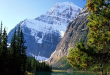 半场：帕尔马1-0博洛尼亚，博尼点射破门，铃木彩艳奉献神扑.